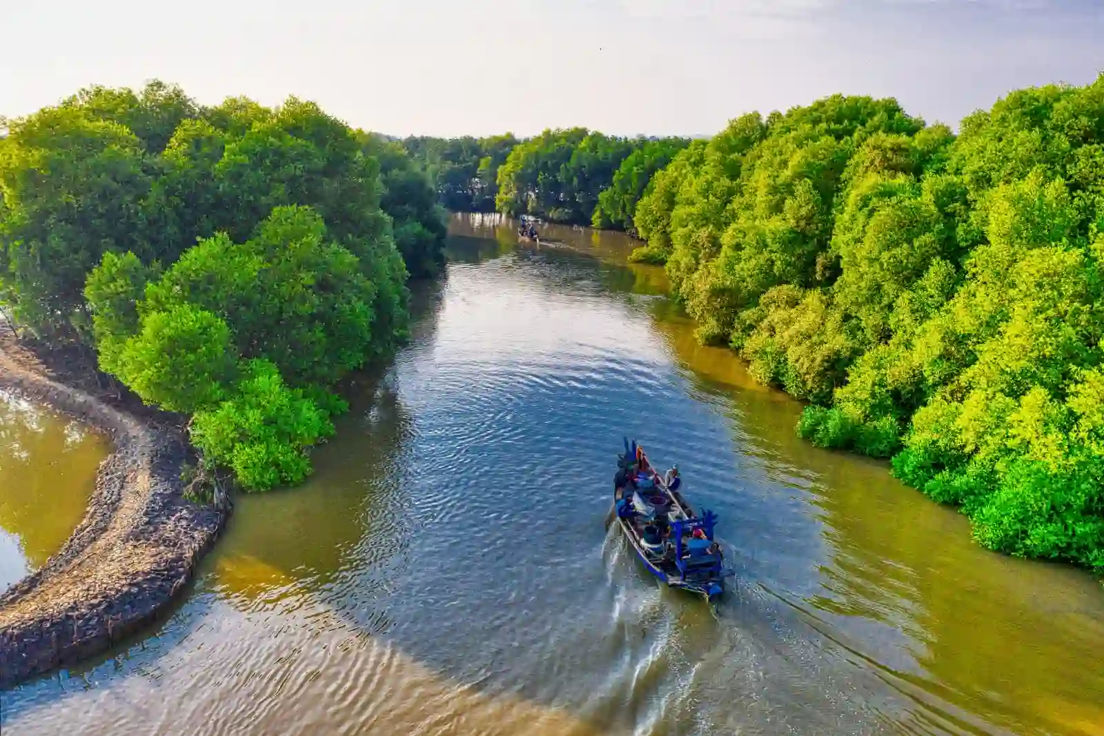 boat-riding-in-small-creek-sundarban-forest